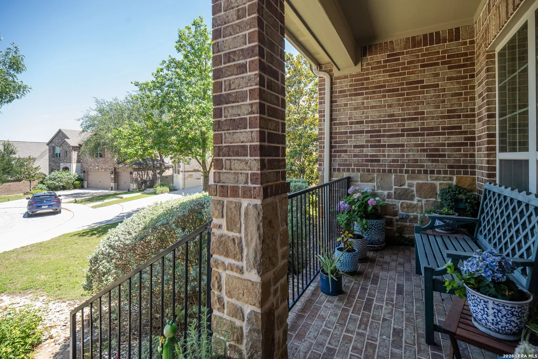 Photo of 25603 Santolina