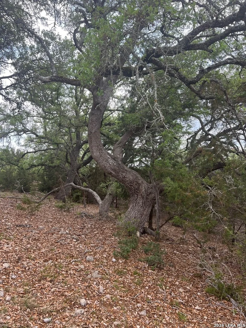 Photo of LOT 76 Sunriver