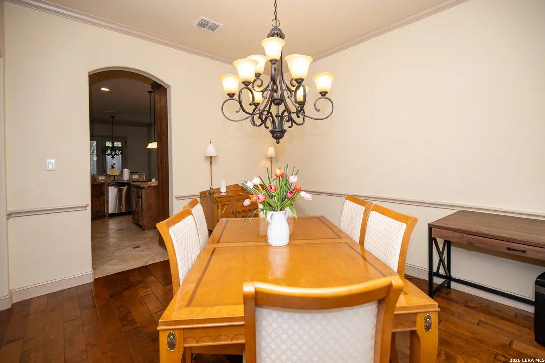 Photo of 25603 Santolina