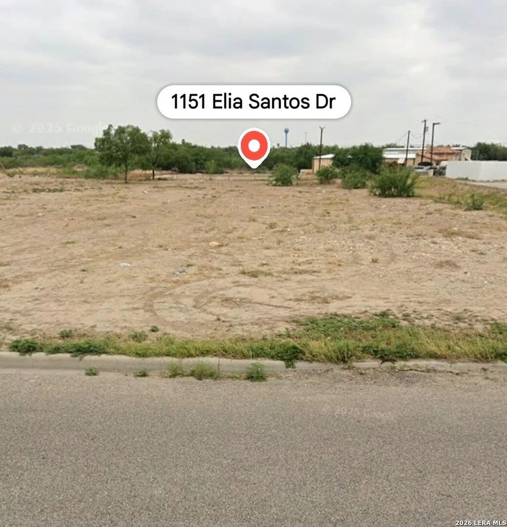 Photo of 1151 ELIA SANTOS
