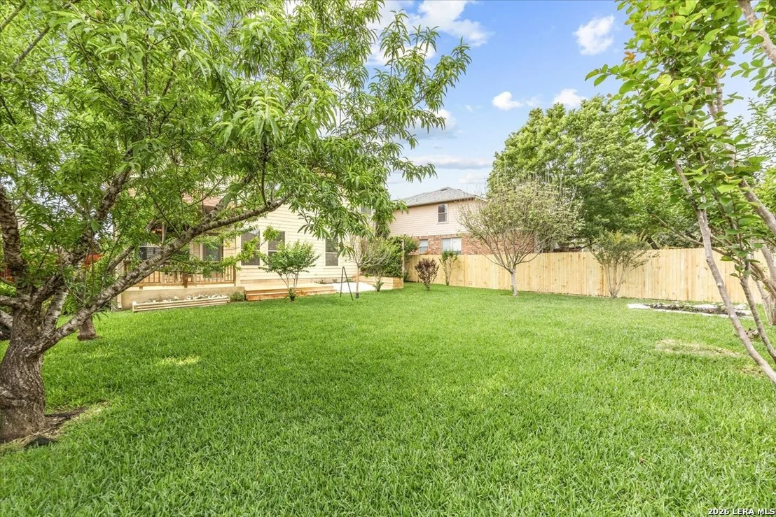 Photo of 25622 Texas Ash
