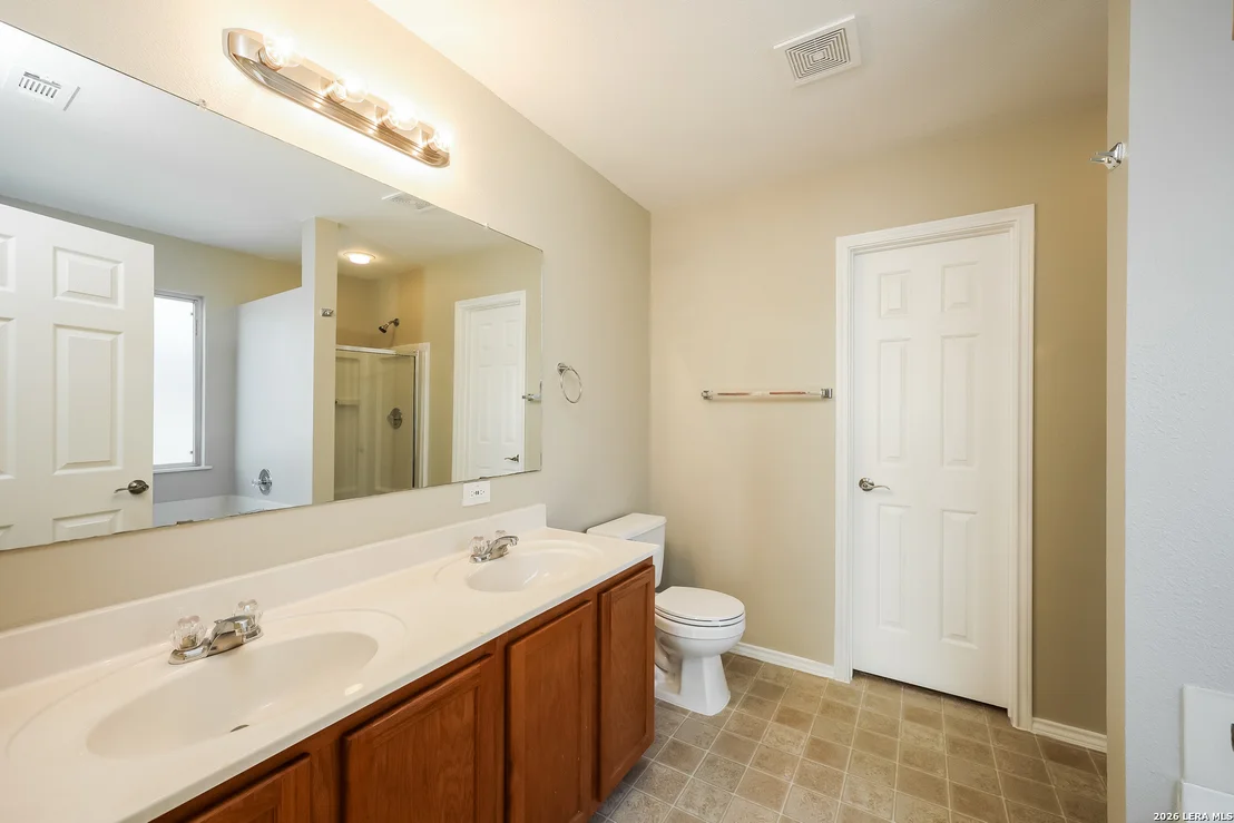 Photo of 122 Blue Juniper