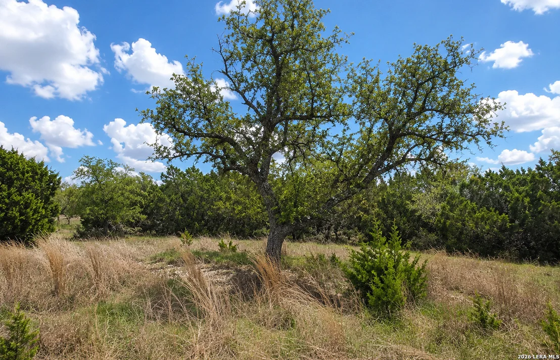 Photo of TBD Falling Oak