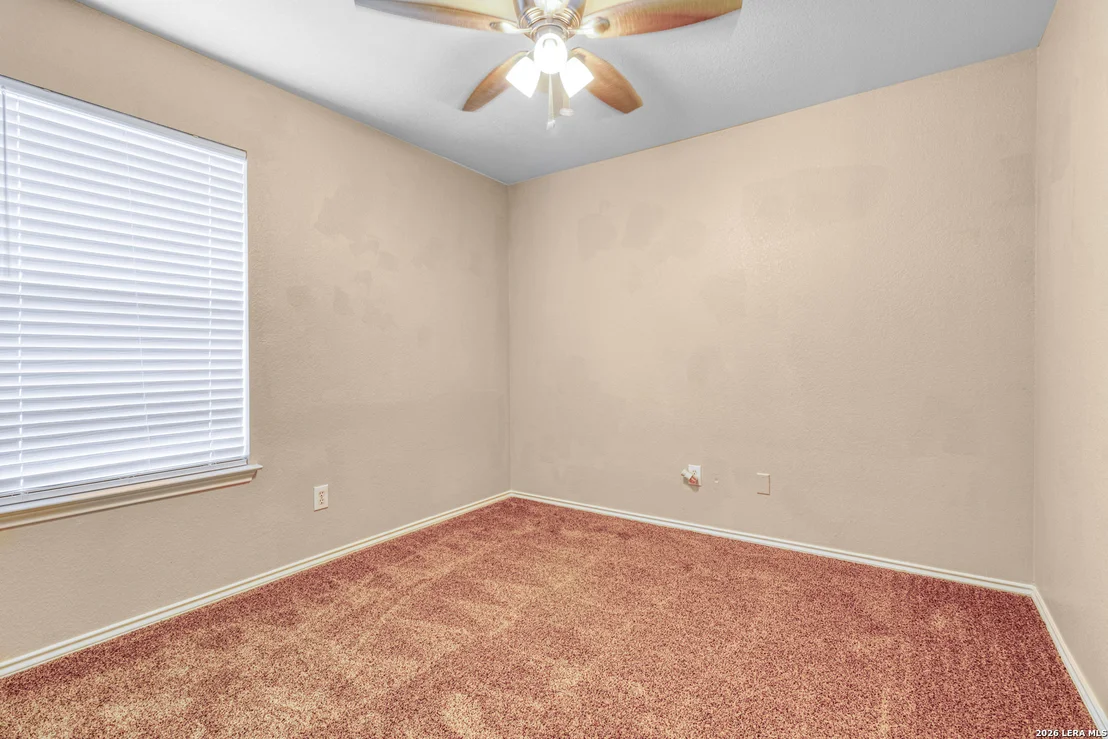 Photo of 131 BOOKER PALM