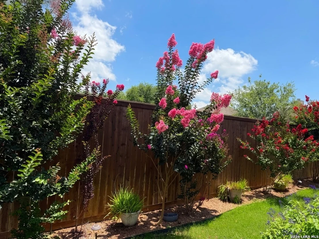 Photo of 980 Water Oak
