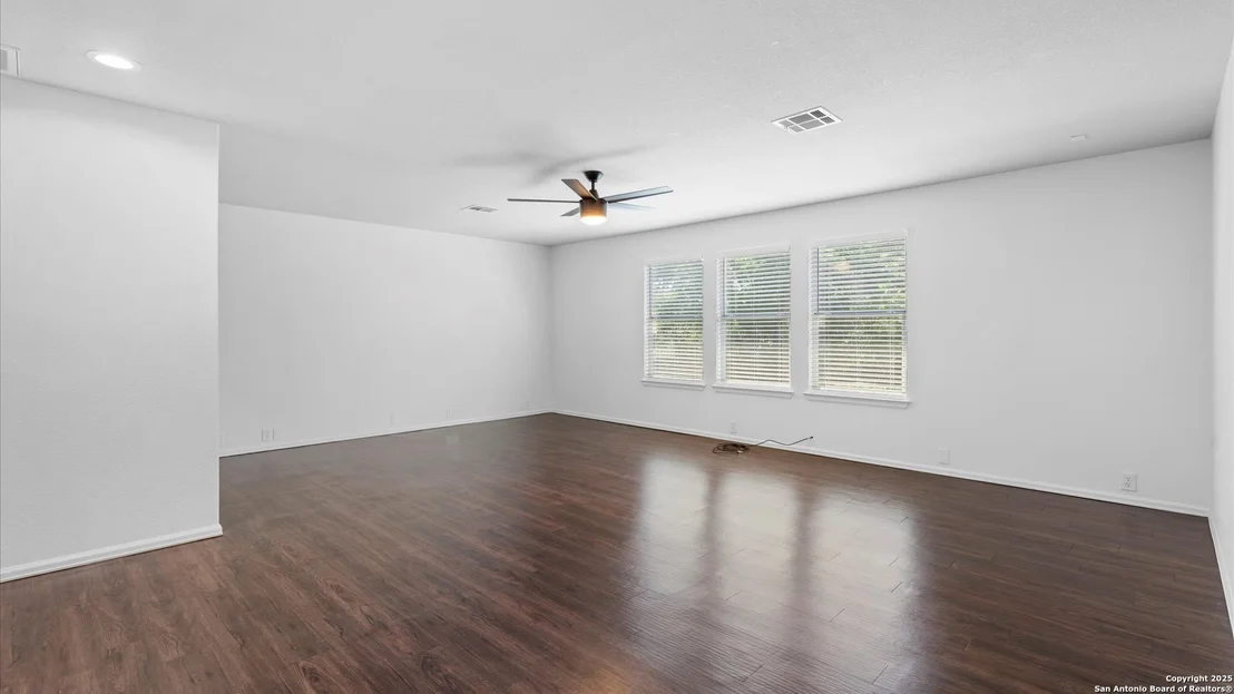 Photo of 154 sassafras