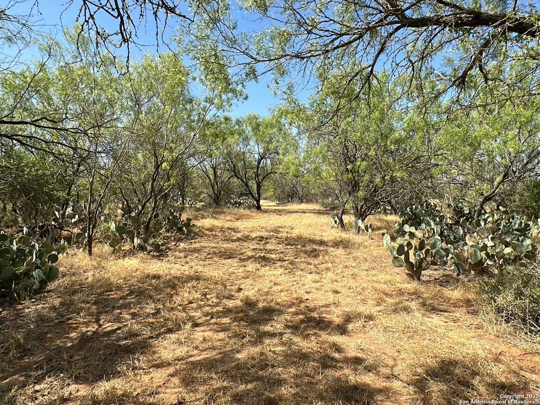 Photo of 157 CR 2644