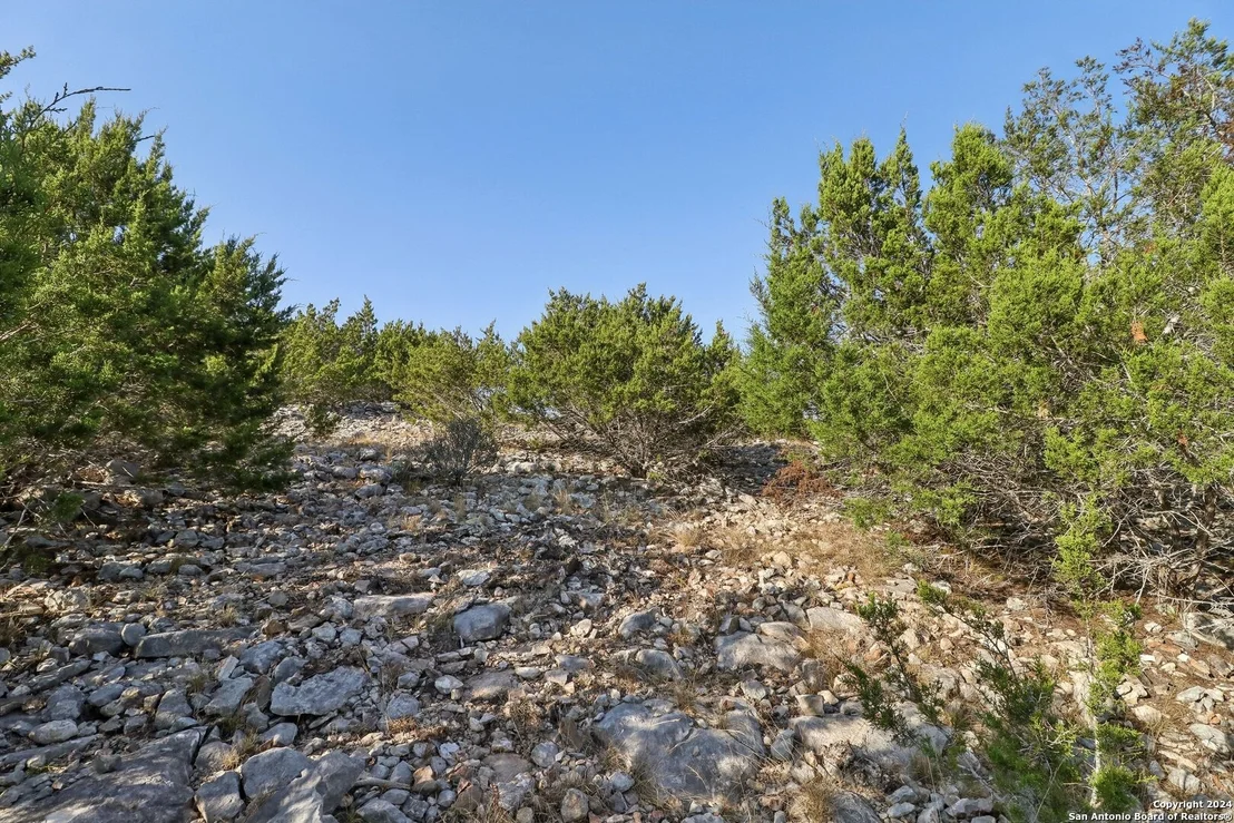 Photo of 115 Juniper Point