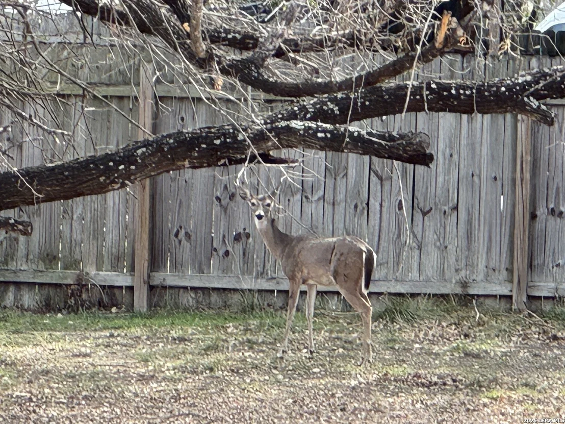 Photo of 7312 Linkmeadow
