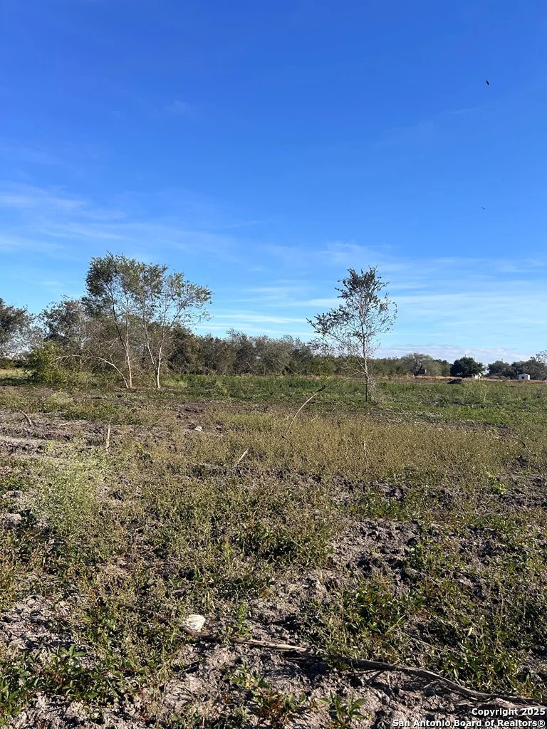 Photo of 1130 Highway 181 Frontage