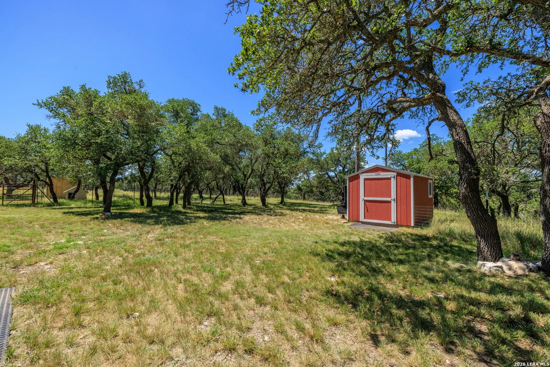 Photo of 429 Spanish Oak