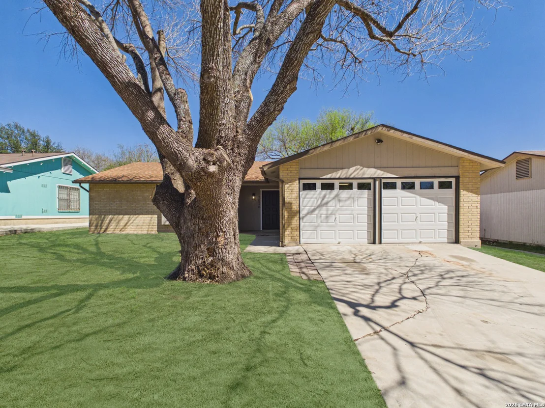 Photo of 1026 Bridle