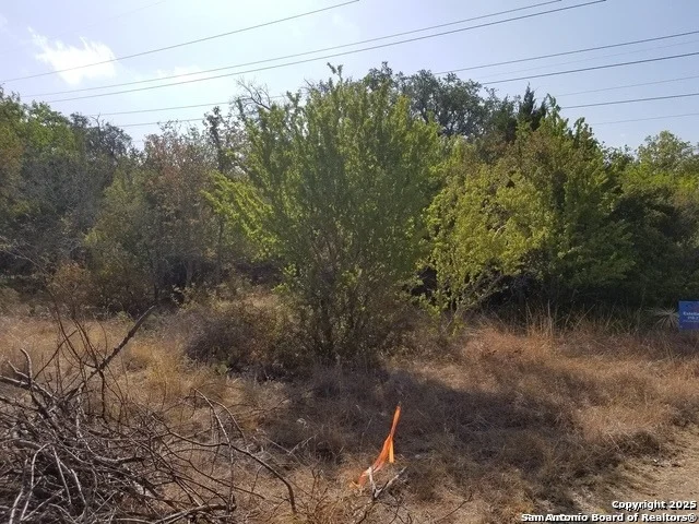 Photo of 4736 troy