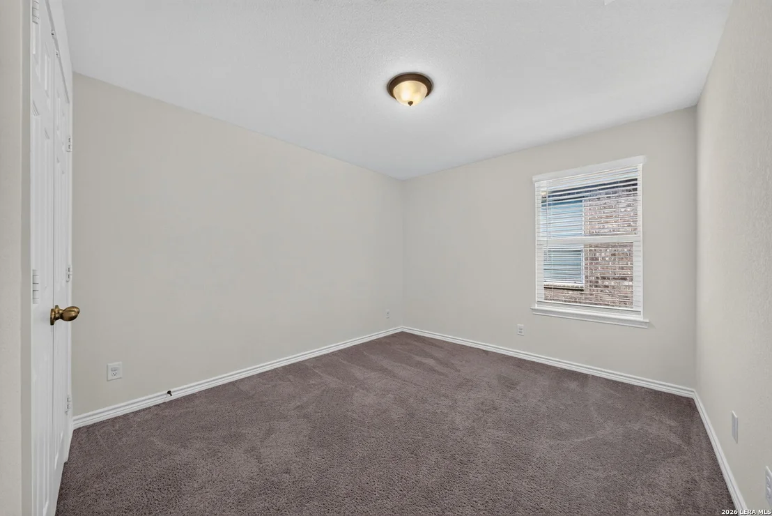 Photo of 11327 Agapanthe