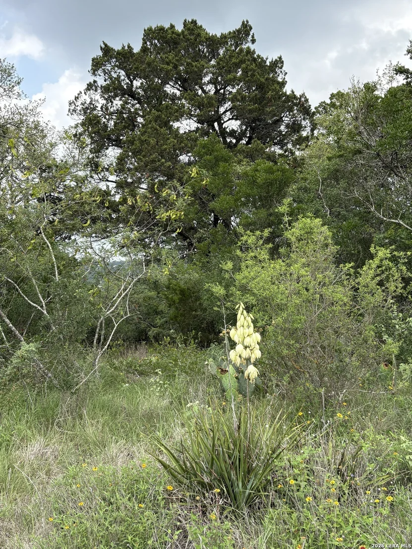 Photo of 460 County Road 2753