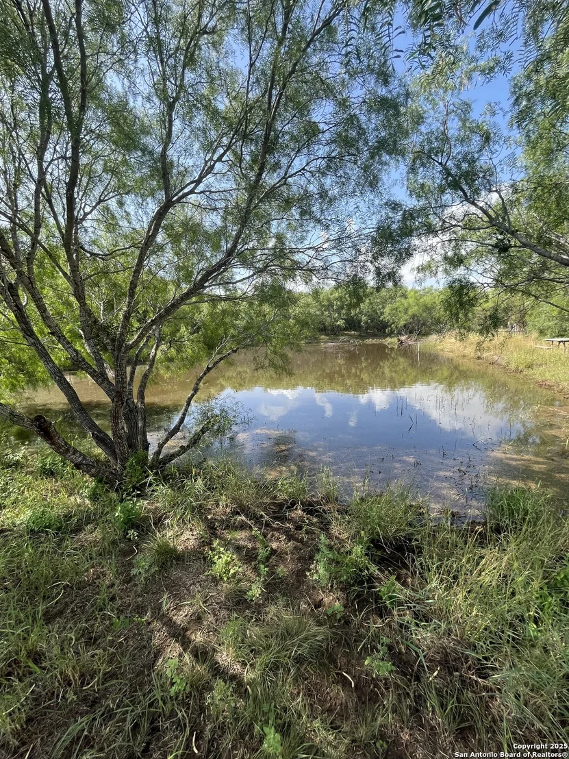 Photo of 707 deer trail