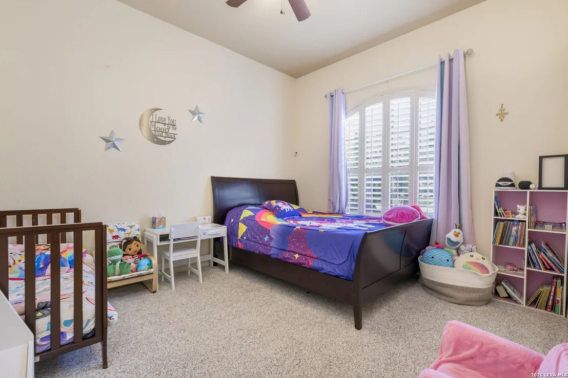 Photo of 25310 Wild Sage
