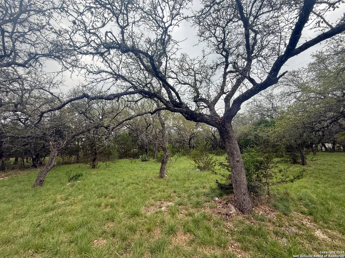 Photo of 23407 Osceola Bluff