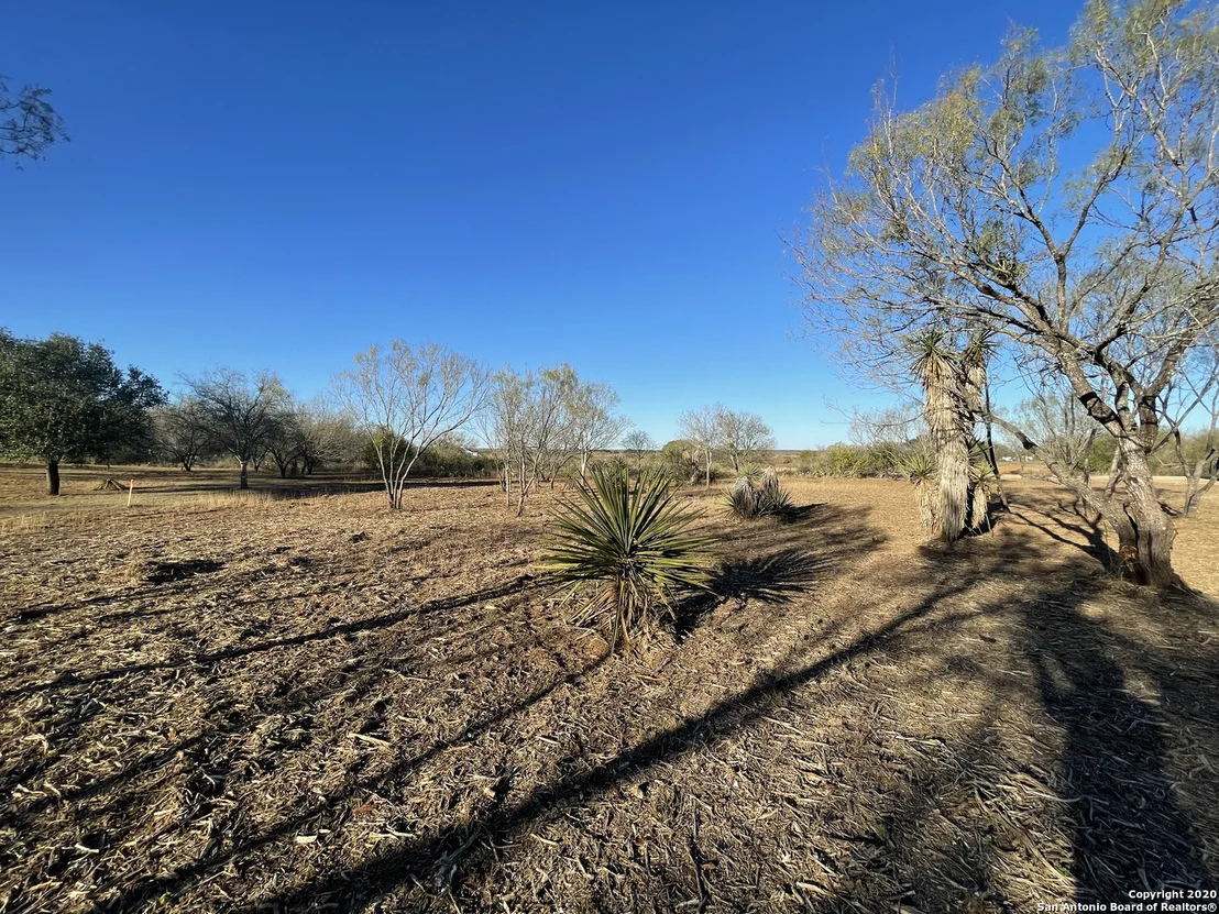 Photo of 297 County Road 1647
