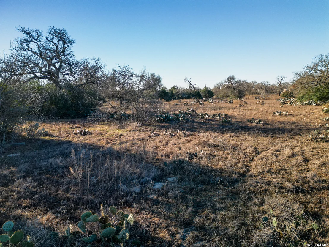 Photo of TBD Sandy Pine