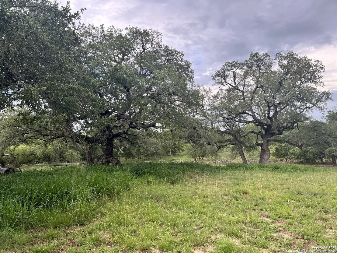 Photo of 290 River Oaks