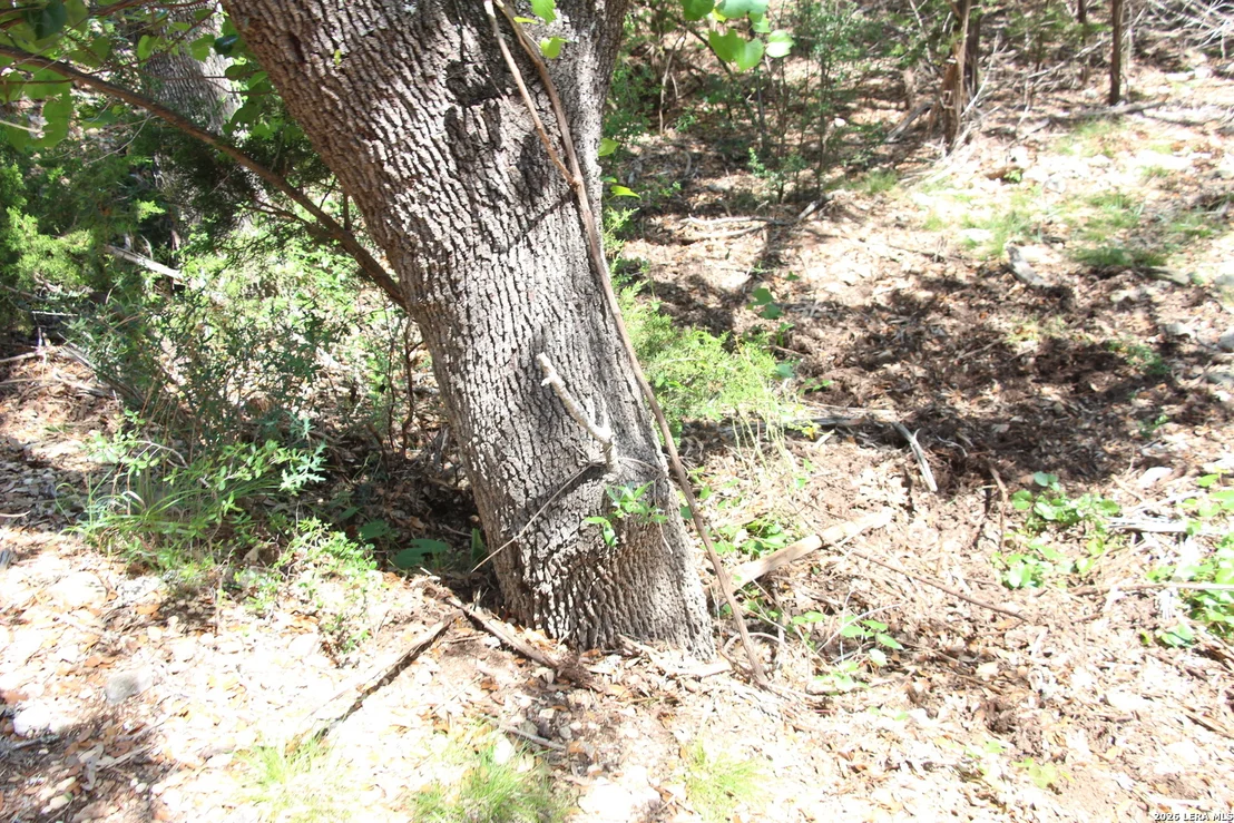 Photo of LOT 52 Clear Water Cyn