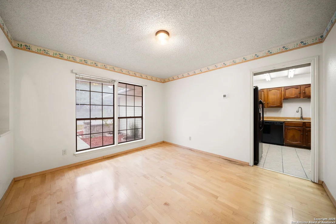 Photo of 1606 forest spring