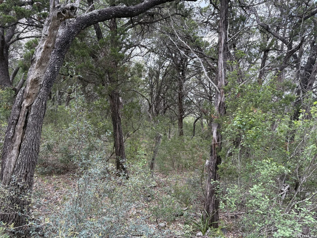 Photo of 460 County Road 2753