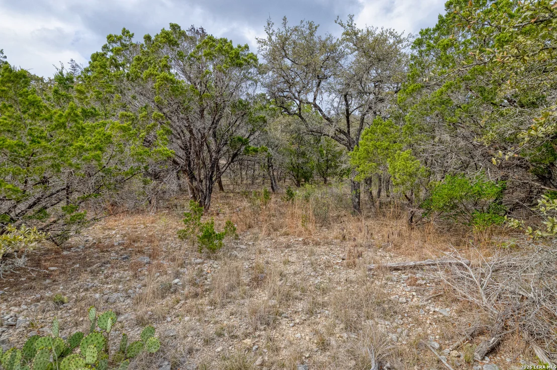 Photo of 430 Frio Canyon