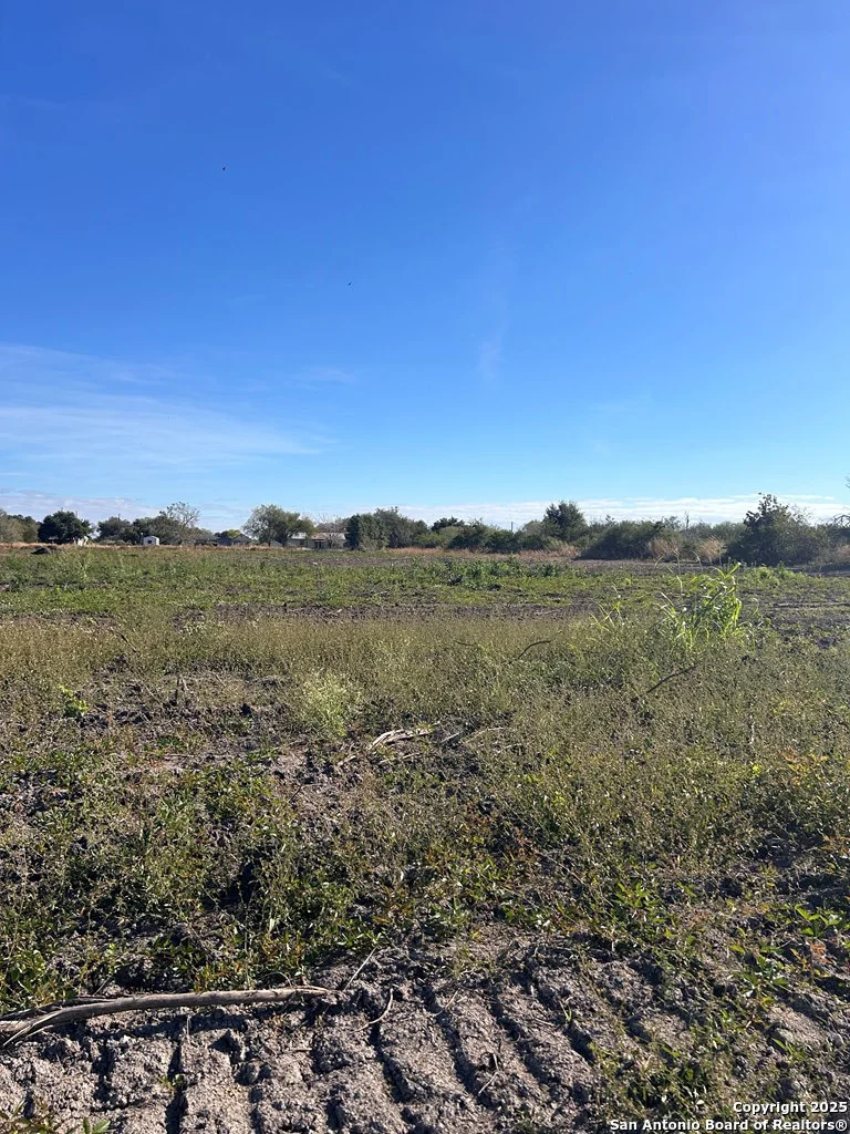 Photo of 1130 Highway 181 Frontage