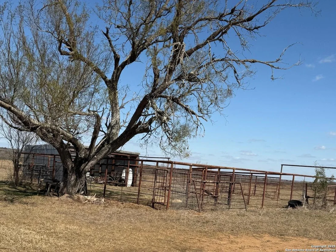 Photo of 838 County Road 669