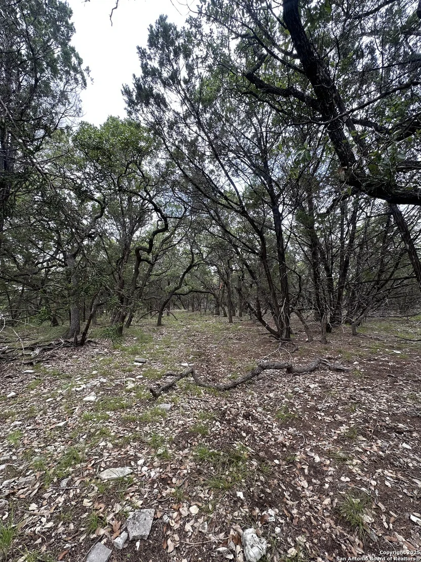 Photo of 000 Blanco Road