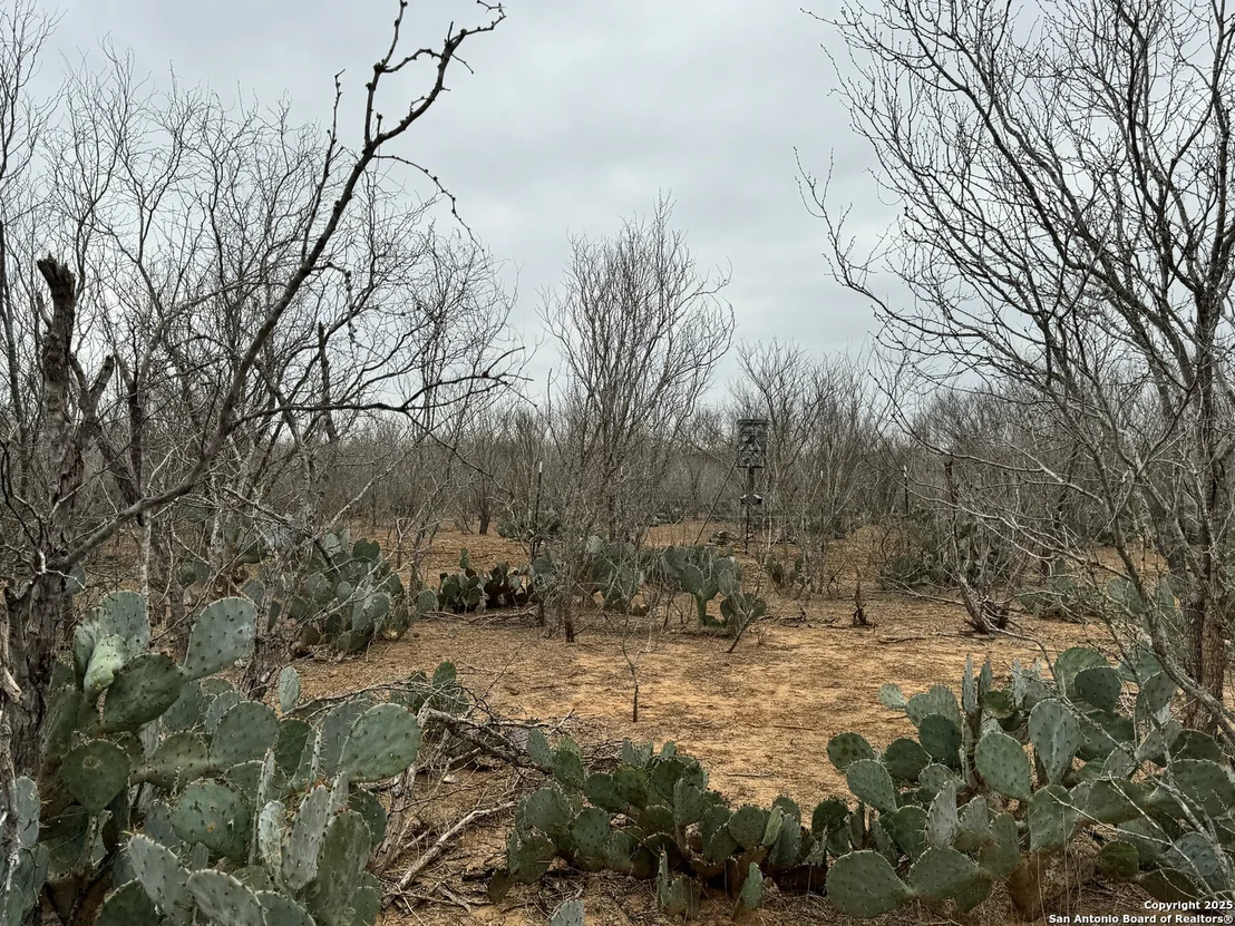 Photo of 3075 County Road 5710