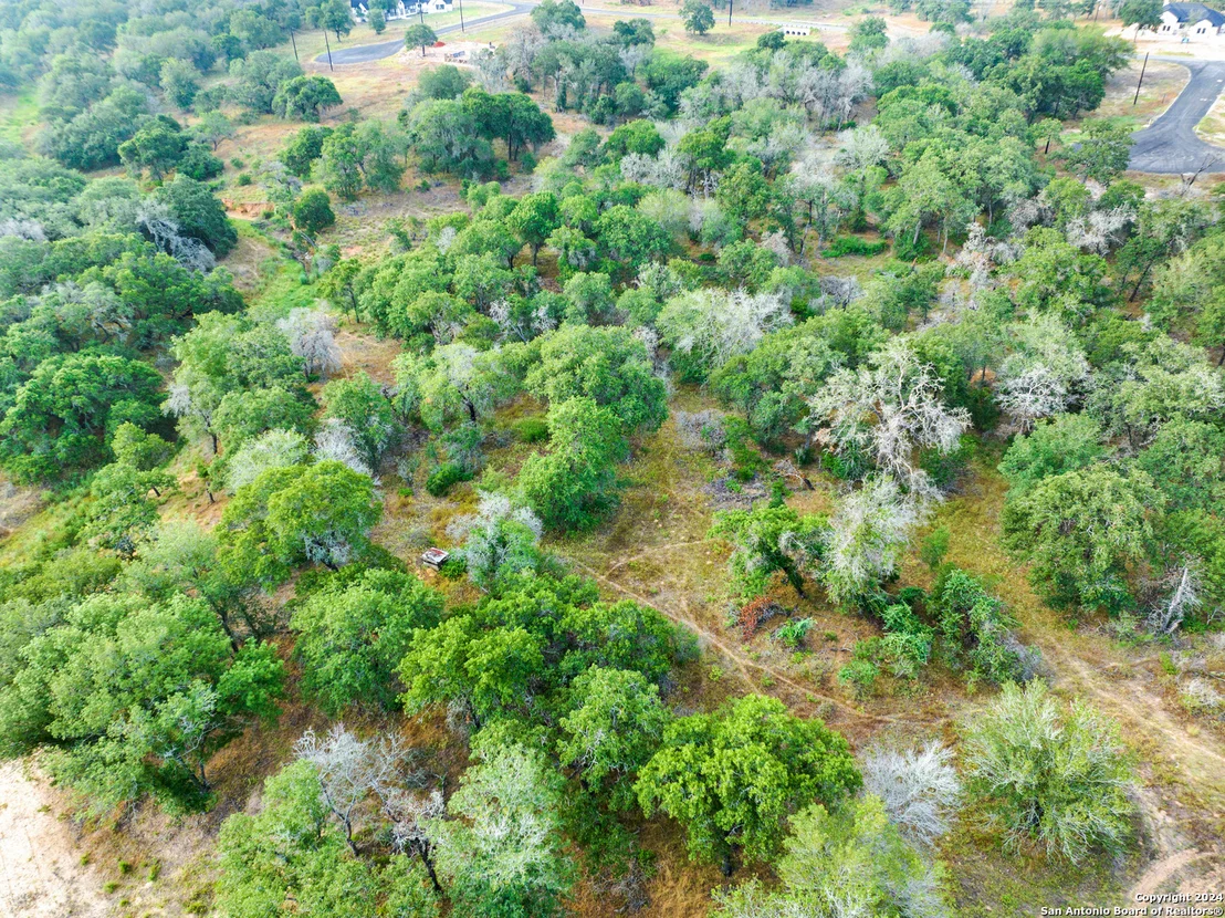 Photo of 250 TIMBER PL