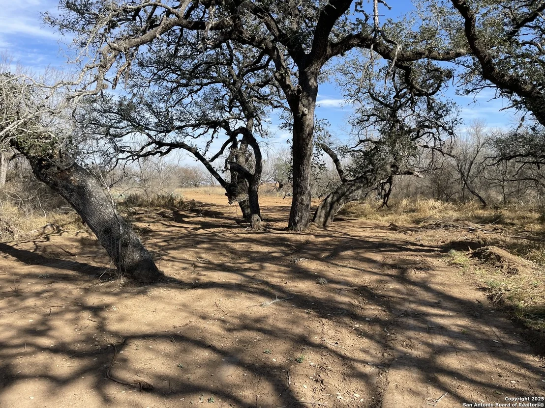 Photo of 170 CR 2644