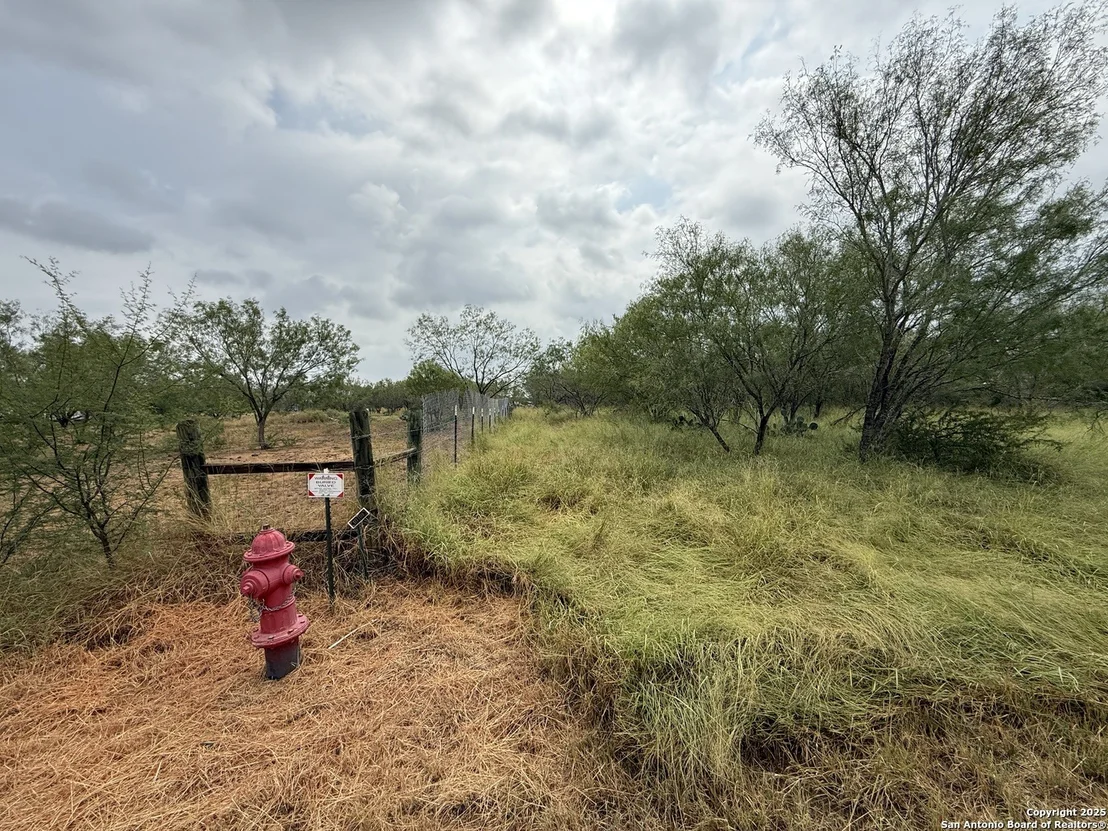 Photo of 131 County Road 2666