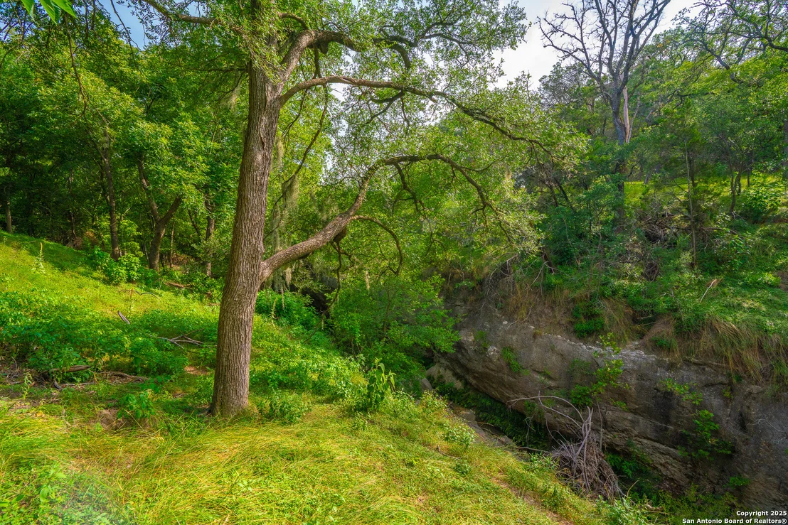 Photo of 103 Misty Waters