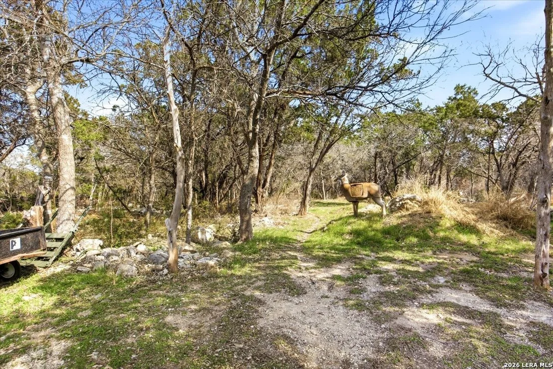 Photo of 28012 Bonn Mountain