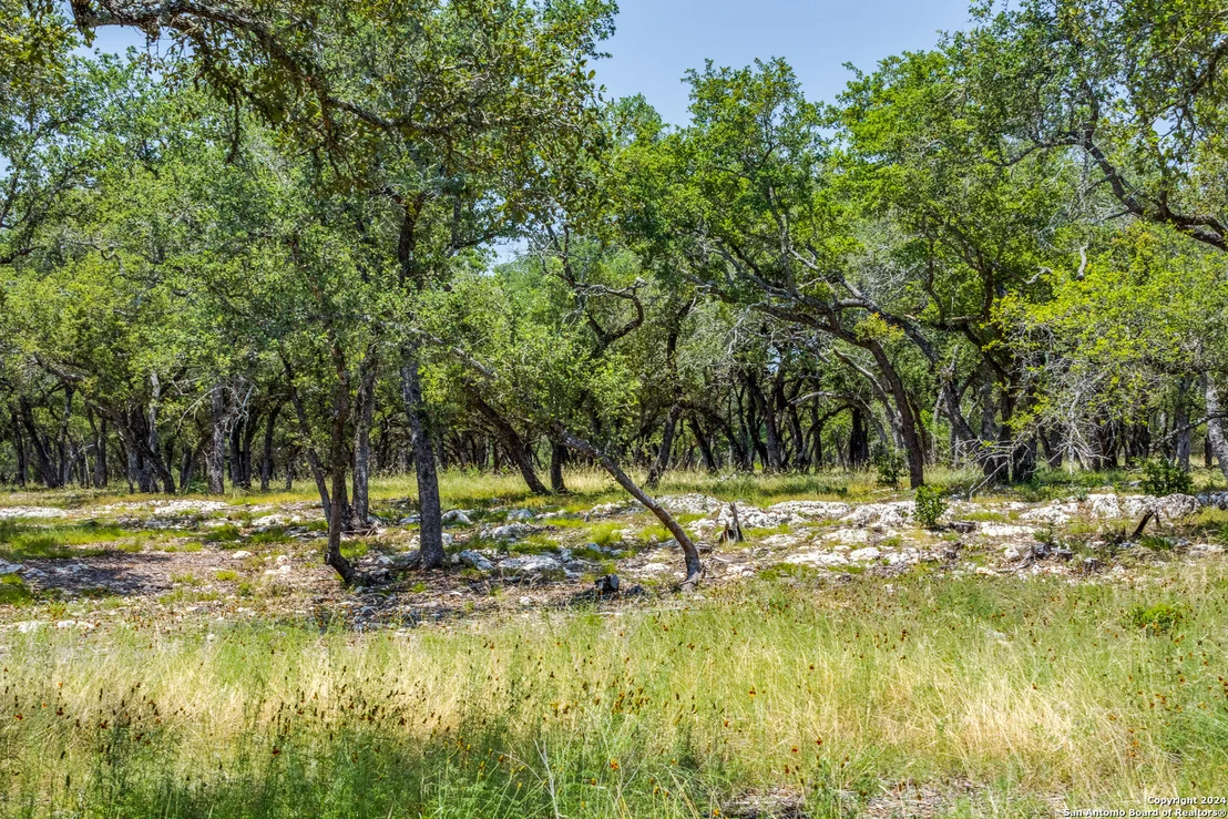 Photo of 233 Kasten