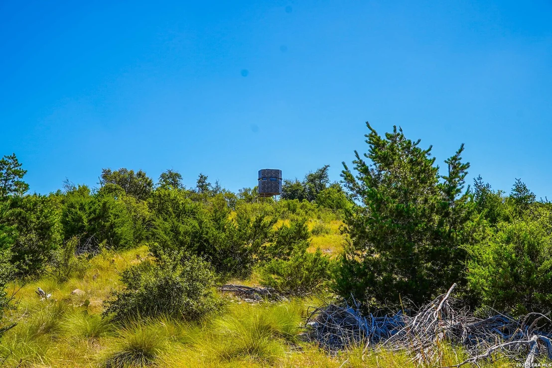 Photo of 14468 COUNTY ROAD 310