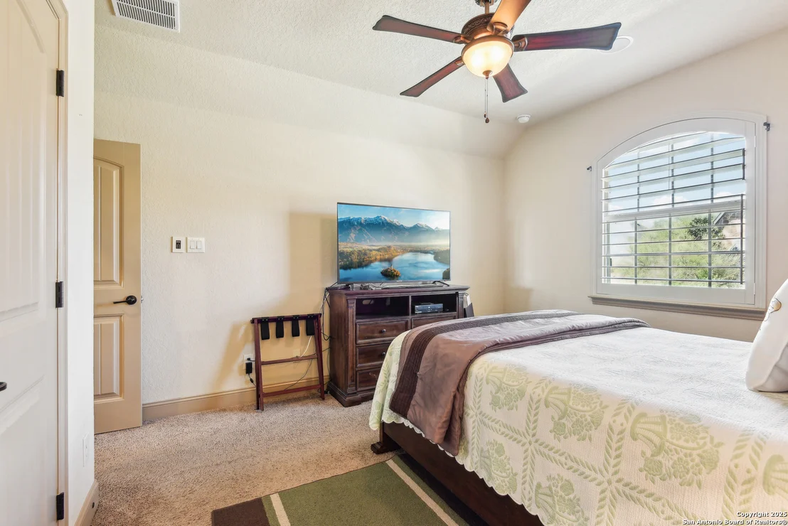 Photo of 25612 Santolina