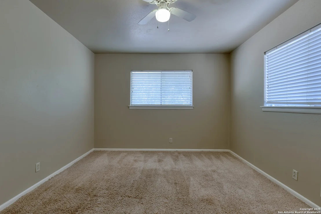 Photo of 210 Lost Forest