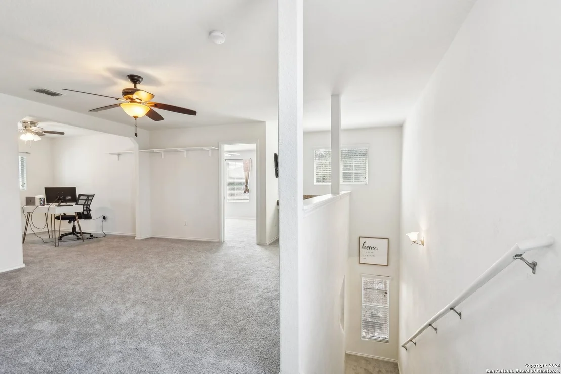 Photo of 155 PRATO PALMA