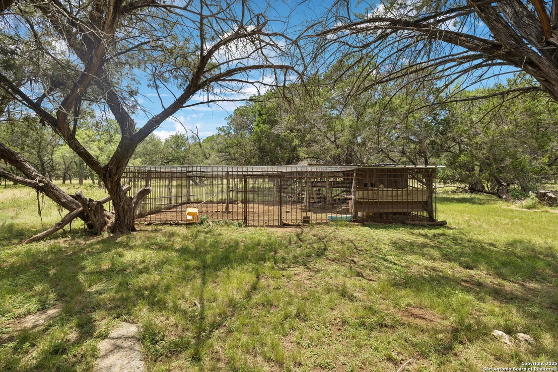 Photo of 450 Georg Oaks