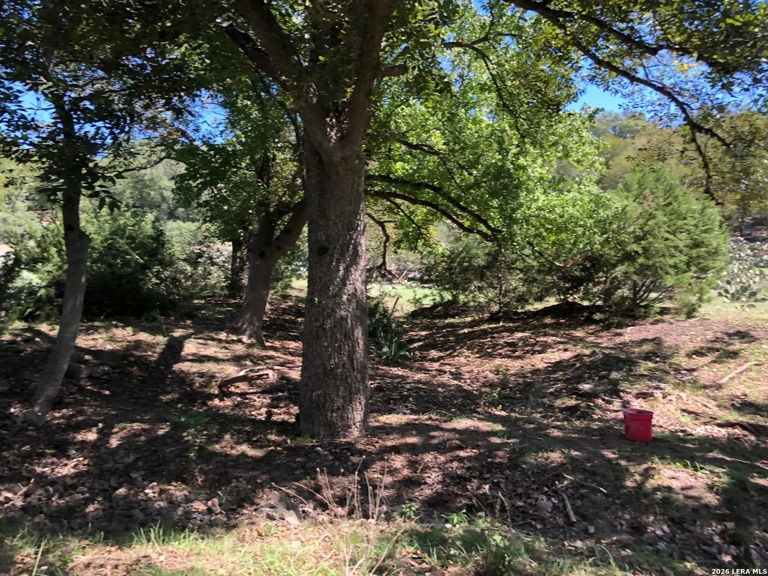 Photo of 335 Rittimann