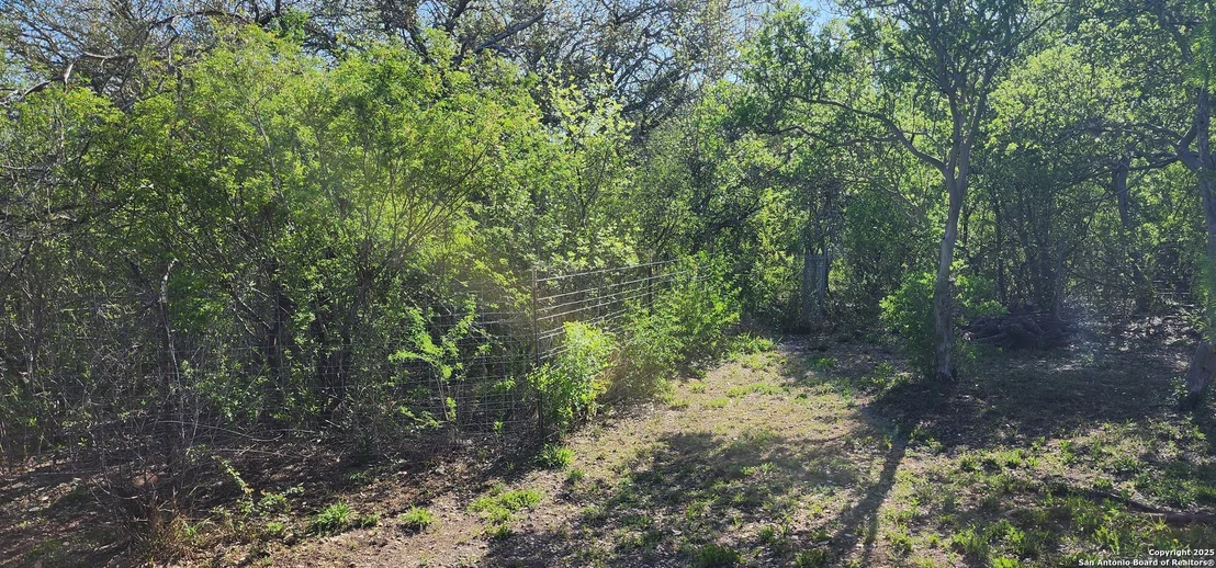 Photo of 350 County Road 574