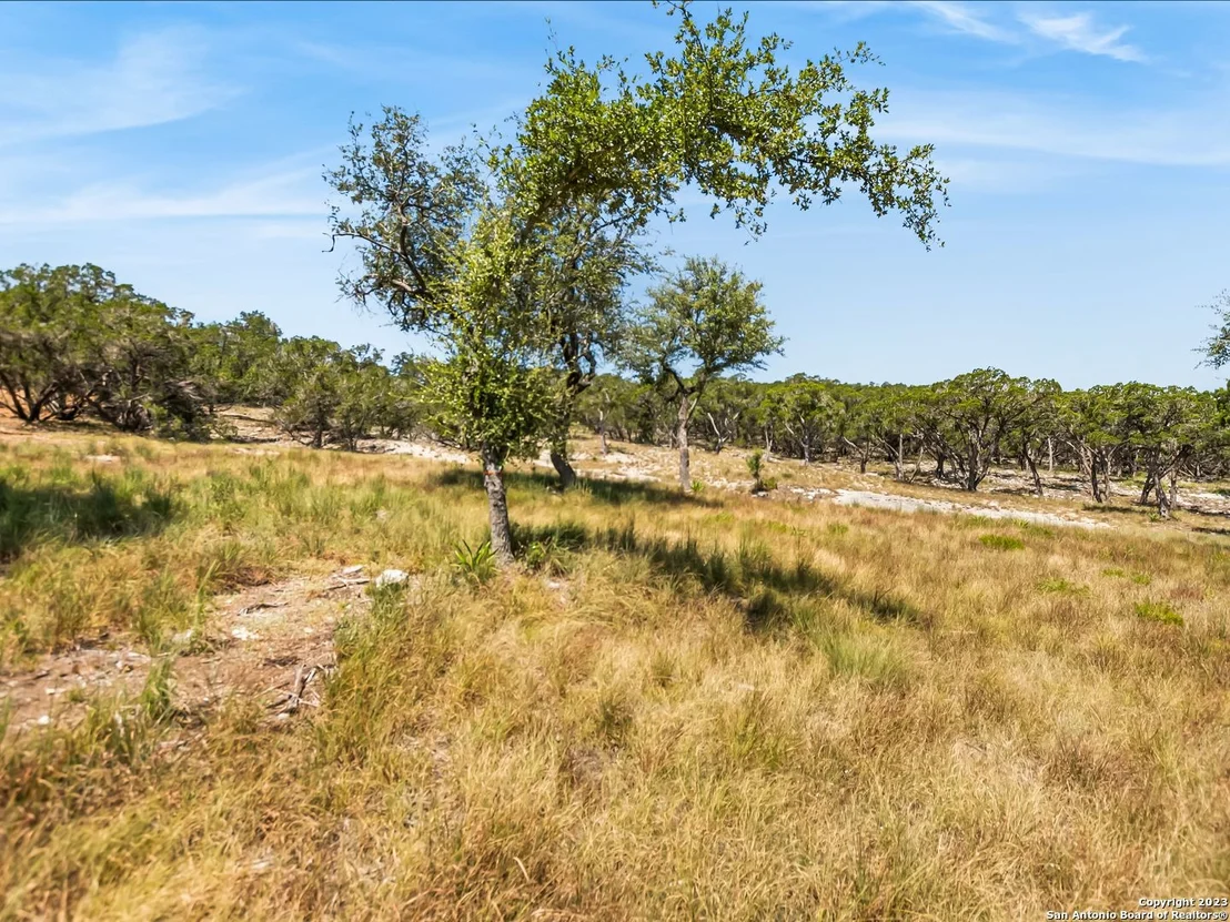 Photo of 2553 GEORGE PASS