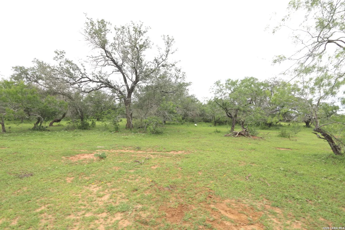 Photo of 2257 County Road 475