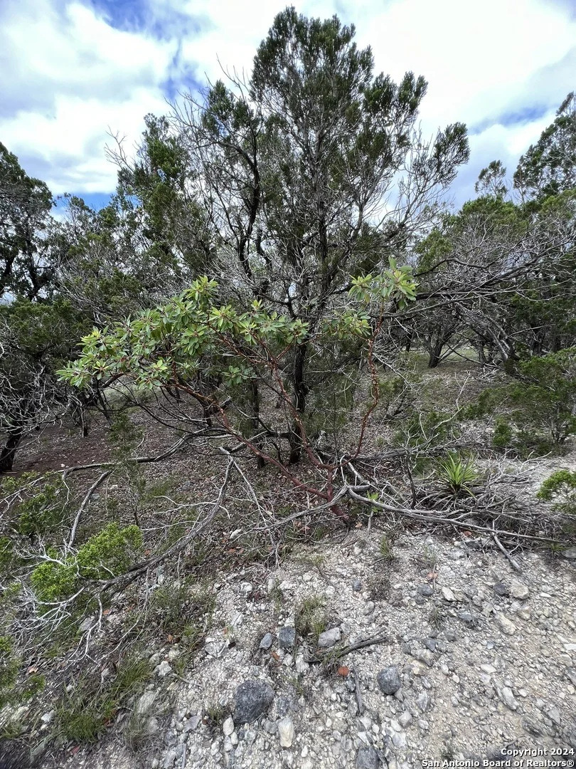 Photo of 103 Sumac Ridge