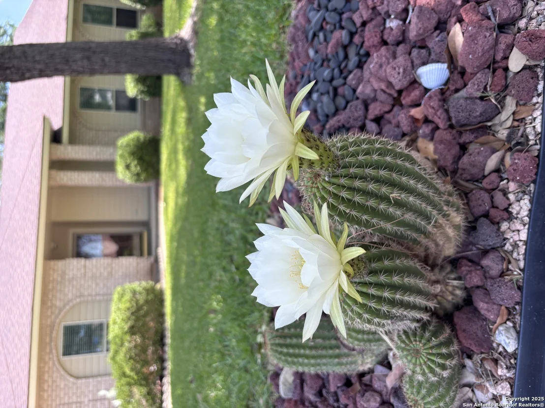 Photo of 15314 Mount Eagle